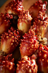 Fresh sea squirt, Food ingredients