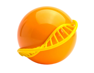 Bright orange sphere;  DNA helix circling it