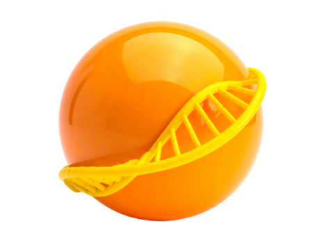 Bright orange sphere;  DNA helix circling it