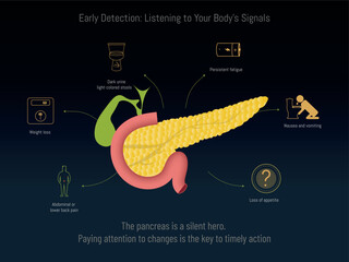 Pancreas illustration showing early detection symptoms and body signals