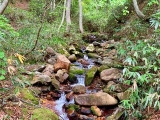 Ozenuma Lake in Ozegahara Wetland in Oze National Park, Gunma, Japan