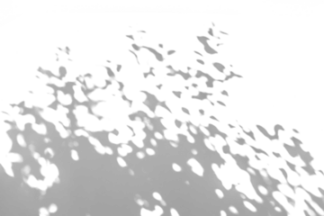 a grey shadow tree with leaves on a png background.