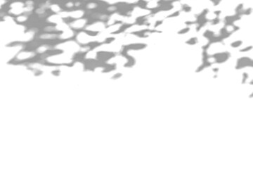 a grey shadow tree with leaves on a png background.