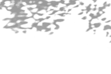 a grey shadow tree with leaves on a png background.