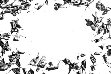 a grey shadow tree with leaves on a png background.