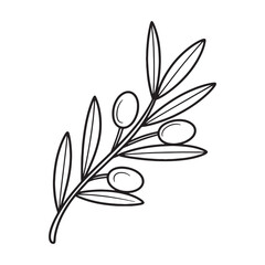Obraz premium Elegant Olive Branch Illustration Depicting Natural Beauty and Simplicity A Symbol of Peace Harmony and Abundance Evoking a Sense of Mediterranean Charm and Tranquility
