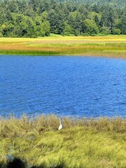 Ozenuma Lake and Ozegahara Wetland in Oze National Park, Gunma, Japan