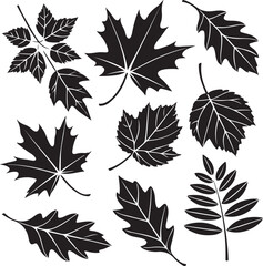 Collection of Black Leaf Silhouettes leaves autumn