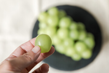 Fototapete bei efototapeten.de bestellen   