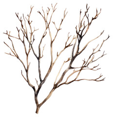 Obraz premium PNG Dry branches art illustration tree.