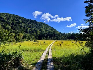Shirasuna Toge with Wooden Boardwalk near Ozenuma Lake and Ozegahara Wetland in Oze National Park, Gunma, Japan