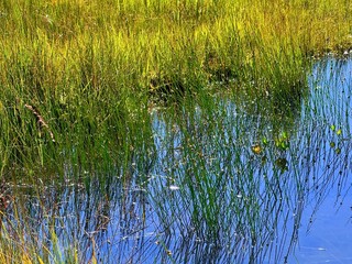 Shirasuna Toge with Wooden Boardwalk near Ozenuma Lake and Ozegahara Wetland in Oze National Park, Gunma, Japan