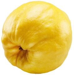 Quince bottom view isolated on white background. File contains clipping path.