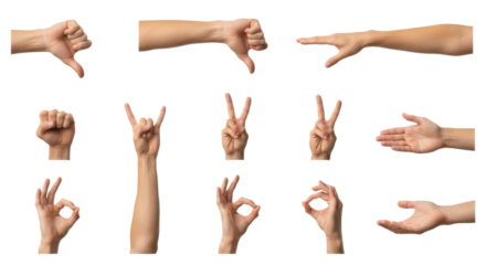 Multiple isolated light-skinned human forearms and hands performing diverse communicative gestures against a transparent studio background with ample copy space, razor-sharp focus. Concept of symbolic