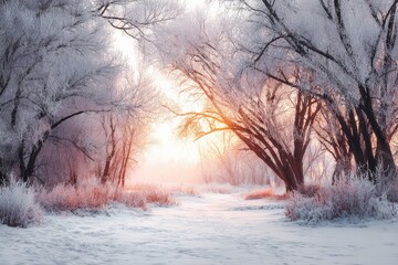 Naklejka premium Winter wonderland sunrise