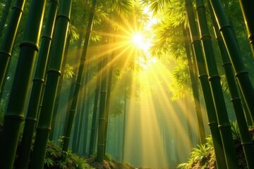 Golden sunlight filters through towering bamboo stalks, sunshine, shadow, plants