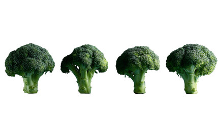 Four fresh green broccoli florets arranged in a neat row on a smooth indigo background