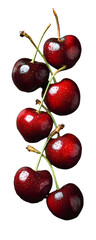 Fresh ripe cherries with water droplets arranged vertically on a dark rusty textured background
