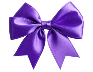 Purple bow isolated on transparent background