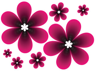 Elegant floral pattern with magenta flowers on a white background for spring design