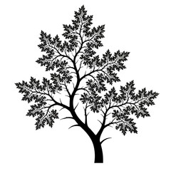 Obraz premium Intricate Arboreal Fractal Pattern Tree Branches Black Vector Design Complex Nature Geometry