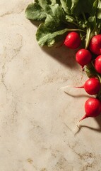 Fresh radishes with green leaves arranged on a textured beige surface