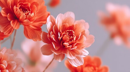 Fototapeta premium Vibrant orange blossom bouquet, a stunning display of nature's beauty and warmth.