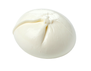 Round ball of fresh mozzarella, slightly puffed, with visible texture