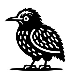 Obraz premium Illustration of a black bird with white markings standing on a flat surface in a simple style