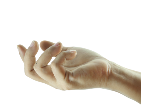 Close-up of empty female hand holding gesture isolated on white background.