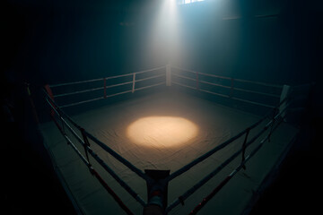 The Arena's Call: An empty boxing ring, bathed in a single spotlight, evokes anticipation and determination, inviting a challenger to step into the circle of competition. 