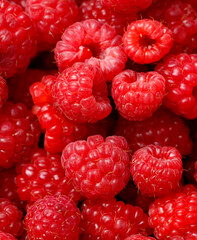 A bunch of red raspberries