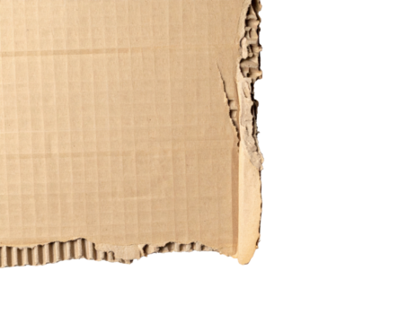 Close-up of a torn cardboard piece.  Beige corrugated cardboard with a ragged edge