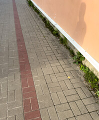 A brick walkway with a red line