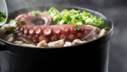 Octopus Rice Bowl with Chives