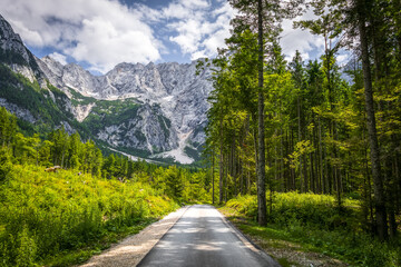 Fototapeta premium scenic view of empty road through bright green pine forest leading to mountain peaks. mountain trail surrounded by lush foliage