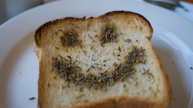 Toasted Bread with Cumin Seeds Arranged as a Smiley Face on a Plate.