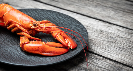 lobster on a plate,fresh ingredients