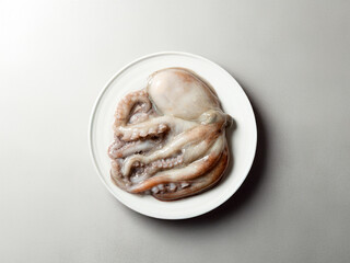 Fresh raw octopus on a plate