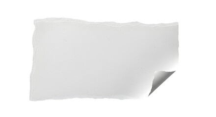 ripped torn white paper curled edge blank space
