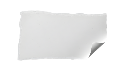 ripped torn white paper curled edge blank space