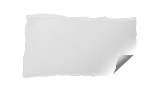 ripped torn white paper curled edge blank space