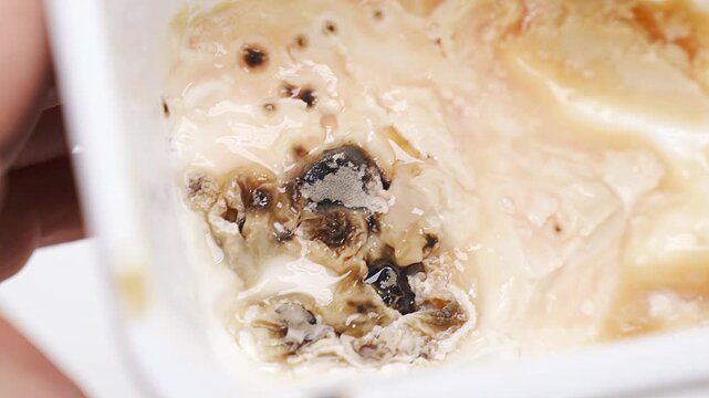 Moldy cheese found in kitchen container showing signs of spoilage