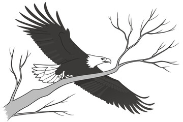 Rabbit, Beetles, and Grassland Cartoon Illustration