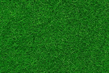 잔디 잔디배경 푸른잔디