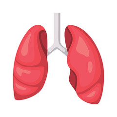 Stylized illustration of human lungs with trachea