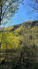 Fototapeta premium Breathtaking view of mountains in southern Chile, with lush slopes and peaks under clear skies. A serene and majestic natural landscape.