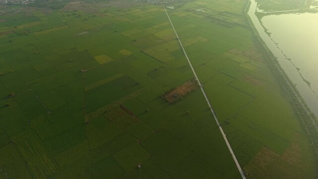 Aerial drone shot of monsoon-season farmland near Delhi, India, featuring green fields, a water body, and suburban surroundings during early morning sunrise.