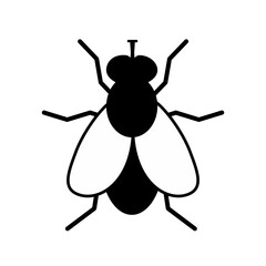 vector illustration of a fly