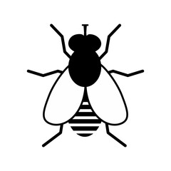vector illustration of a fly